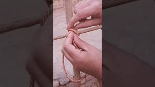 Absolutely the BEST and Easiest Pole andBamboo Lashing Knotknots [upl. by Dib227]