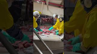 Sorting POP and Pollock in Akutan Alaska  Fishing Akutan Viral Alaska Foryou Parati [upl. by Kask]