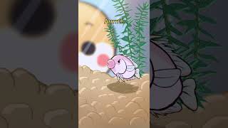 Kissing gourami 💋🐟 animation original cartoon [upl. by Socram]