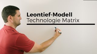 LeontiefModell Technologie Matrix Bedeutung Koeffizienten plus Tabelle Mathe by Daniel Jung [upl. by Ahsienom]