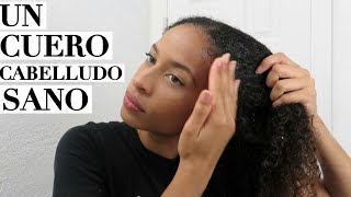 Haz CRECER TU PELO sano exfoliándolo retopelucón 4ta semana [upl. by Bren]