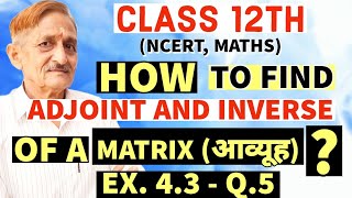 L 07  CLASS 12TH  MATRIX Ka Adjoint And Inverse Kaise Nikale  Adjoint And Inverse Of Matrix [upl. by Fisuoy]