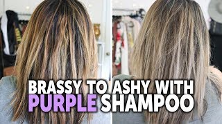 How to Tone Brassy Hair with Purple Shampoo  Drugstore Purple Shampoo Before and After [upl. by Rekab]