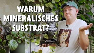 DARUM sollten DEINE Pflanzen in ein mineralisches Substrat ⚠️  alle Vorteile [upl. by Joselyn]