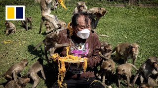 Monkey feast in Thailand [upl. by Lapointe]