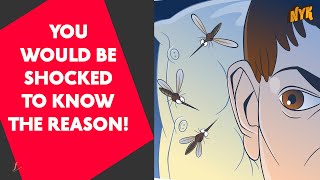 Why Do Mosquitoes Buzz Close To Our Ears [upl. by Searcy694]