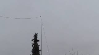 Multiband End Fed Antenna System using Spiderpole [upl. by Neelyk]