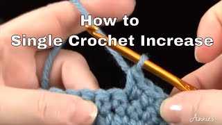 How to Single Crochet Increase  an Annies Tutorial [upl. by Llehsyar]