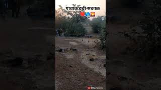 गावाकडची सकाळ♥️🌎🌄 youtubeshort virlvideo kokan morning status कोकण [upl. by Colene]