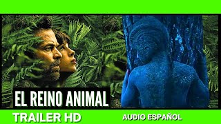 🦁 El REINO ANIMAL para NIÑOS de PRIMARIA  VERTEBRADOS e INVERTEBRADOS [upl. by Rhiamon]