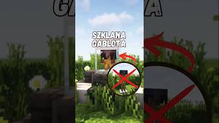 Szklana gablota w minecraft 😵💥 [upl. by Falzetta317]