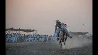 Day 5 Part 11 National championship of Neza Bazi 2018 Faisalabad Agriculture University Tent Pegging [upl. by Wordoow640]