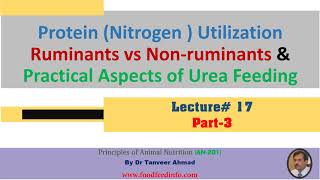 Lecture 17Part3 of 3 Protein UtilizationRuminants vs Nonruminants amp Urea Feeding [upl. by Snehpets]