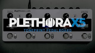 tc electronicPLETHORA X5 製品紹介 [upl. by Orv246]