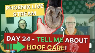 Day 24  TELL ME about HOOF CARE👍from P3 to abscesses❤️‍🩹 [upl. by Zindman]