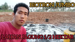 PART 2  CARA MEMBUAT BIOTRON  BIOCHAR DI LAHAN JAGUNG [upl. by Etoile]