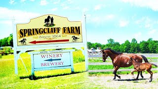 Springcliff Farm Home of Indianas Future Champions [upl. by Lohner]