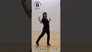 TPOP Covered Dance Tutorial ｜Song 青蘋果樂園 by 小虎隊｜TaiwanesePOP TaiwaneseDanceCrew [upl. by Nisbet]