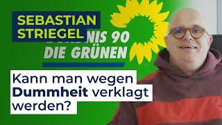 Sebastian Striegel  Kann man eigentlich wegen Dummheit verklagt werden [upl. by Enelie]