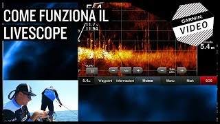 Come funziona il trasduttore Panoptix LiveScope [upl. by Dace883]