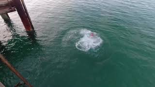 Glenelg Beach  Adelaide  South Australia  DJI Osmo Action  Jetty jumping [upl. by Rudman189]