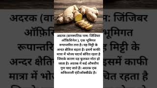 अदरक के फायदे  Adrak Ke Fayde  Adrak In Hindi  Adrak Benefits In Hindi  Ginger Benefits shorts [upl. by Buckels907]