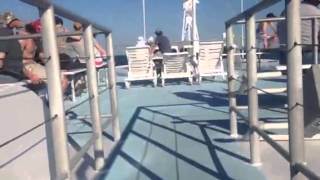 Double Eagle fishing charter Clearwater Florida [upl. by Nylram]