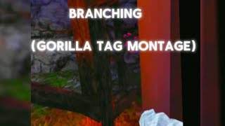 Branching Gorilla tag Montage [upl. by Ahseikram]