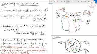 Ligand gated ion channel receptors pharmacology of barbiturates and benzodiazepines GABA [upl. by Onilatac]