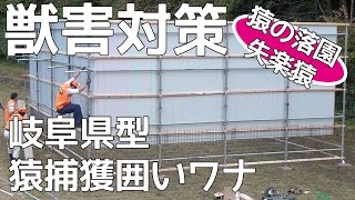 【獣害対策】岐阜県型猿捕獲囲いワナ [upl. by Kifar932]