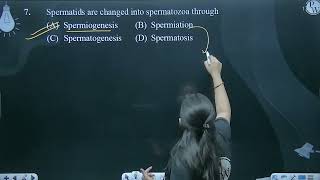 Spermatids are changed into spermatozoa through [upl. by Lyn]