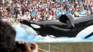 Blackfish PETA Reviews the Documentary About SeaWorld [upl. by Drhcir539]