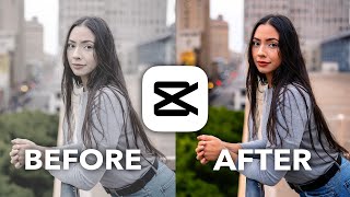 CapCut Color Grading 101 Tutorial [upl. by Hansiain96]