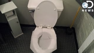 Do Toilet Seat Covers Really Protect You [upl. by Barncard736]