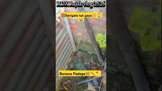 Hamara barigate tut gaya 🧐😱😭shortvideo minivlog petvlog duckfarming [upl. by Naivatco]