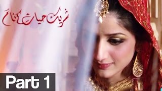 Shareek e Hayyat kay Naam Part 1  ATV [upl. by Gombach374]