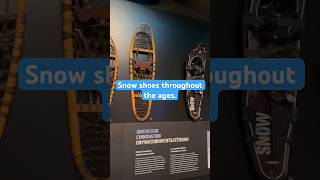 Evolution of snowshoes [upl. by Lyndell]