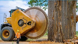 Extreme Dangerous Fastest Big Chainsaw Cutting Tree Machines  Monster Stump Removal Excavator 30 [upl. by Nelrac]