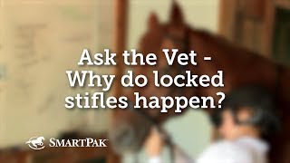 Ask the Vet  Why do locked stifles happen [upl. by Rhetta]