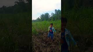 Limpyo sa tubuhan ni Choy shortsvideo shorts probinsya [upl. by Rehpitsirhc]