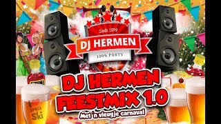 Feestmix 10 quotMet n vleugje carnavalquot Carnaval 2018 DJ Hermen [upl. by Norbie741]