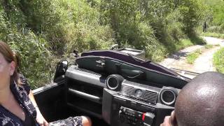 Drive Down From Rock Lodge At Ulusaba [upl. by Sixele]