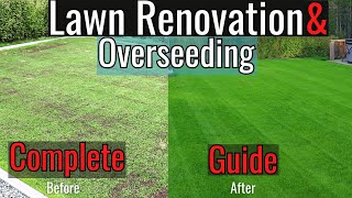 Fall Renovation amp Overseeding Simple Step by Step Guide 2023 [upl. by Nosredneh]