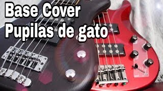 Pupilas de gato  Luis Miguel bass cover vicglez [upl. by Nilekcaj]