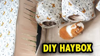 EASY DIY Guinea Pig Haybox Tutorial [upl. by Wyndham781]