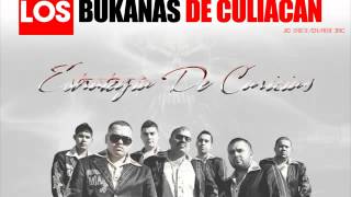 Buknas De Culiacan  Estrategia De Caricias Audio Oficial [upl. by Lledniuq702]