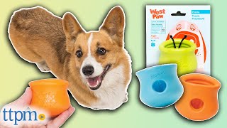 Dog Toy Review BobALot Interactive Treat Dispenser [upl. by Ajit301]