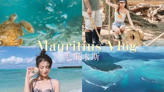 Mauritius Vlog 跟我去天堂岛国毛里求斯  与狮同行 浮潜追海豚 自然桥amp鹿岛香格里拉酒店 ♥ 泡芙酱APPLE [upl. by Meggi]