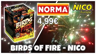 Birds of Fire von Nico bei Norma  NEUHEIT 2023 🔥  PYRO TV [upl. by Loraine]