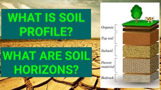 Soil Profile  Soil horizons [upl. by Enelrac]